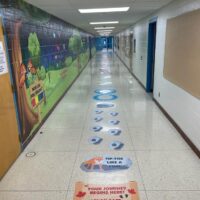 Sensory Path - Forest